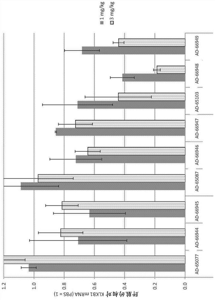 Factor xii (Hagemann factor) (f12), kallikrein b, plasma (Fletcher factor) 1 (klkb1) and kininogen 1 (kng1) irna compositions and methods of use thereof