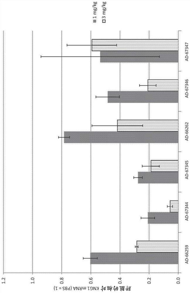 Factor xii (Hagemann factor) (f12), kallikrein b, plasma (Fletcher factor) 1 (klkb1) and kininogen 1 (kng1) irna compositions and methods of use thereof