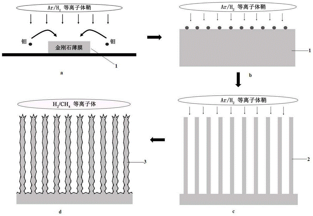 Diamond nanoneedle array composite material and its preparation method and application