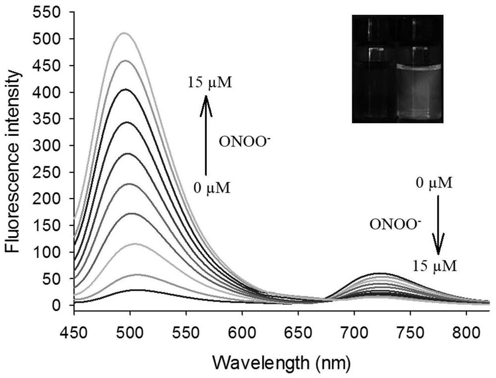 Preparation and application of a ratiometric fluorescent probe for peroxynitroso