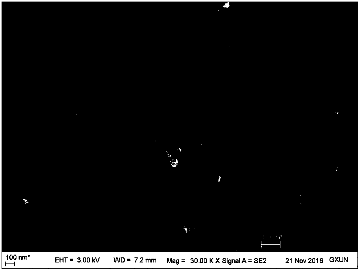 Sn-GAC particle, and application thereof in three-dimensional electrochemical reaction treatment of 4-chlorophenol wastewater