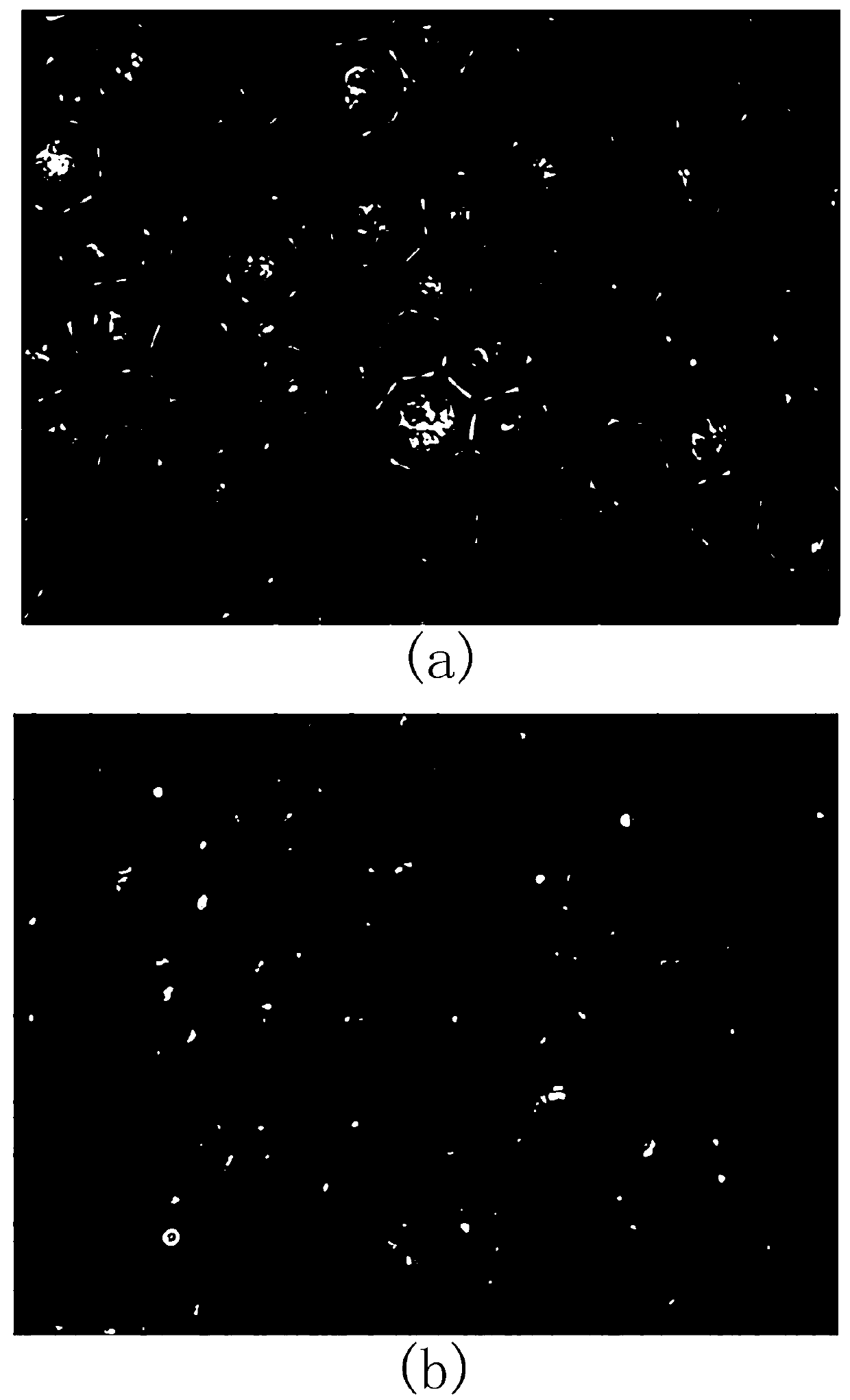 Preparation method of royal jelly acid microcapsules