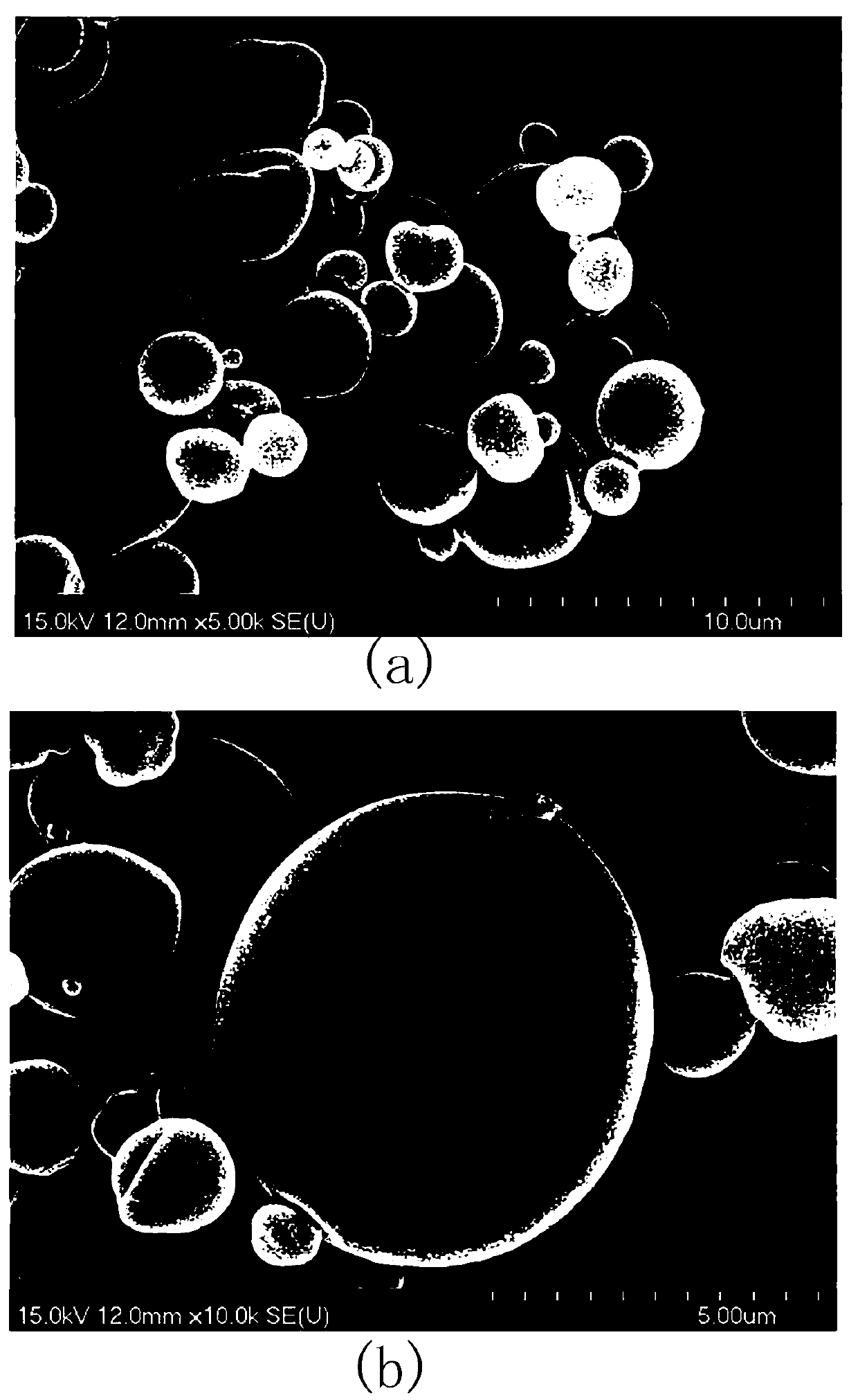 Preparation method of royal jelly acid microcapsules