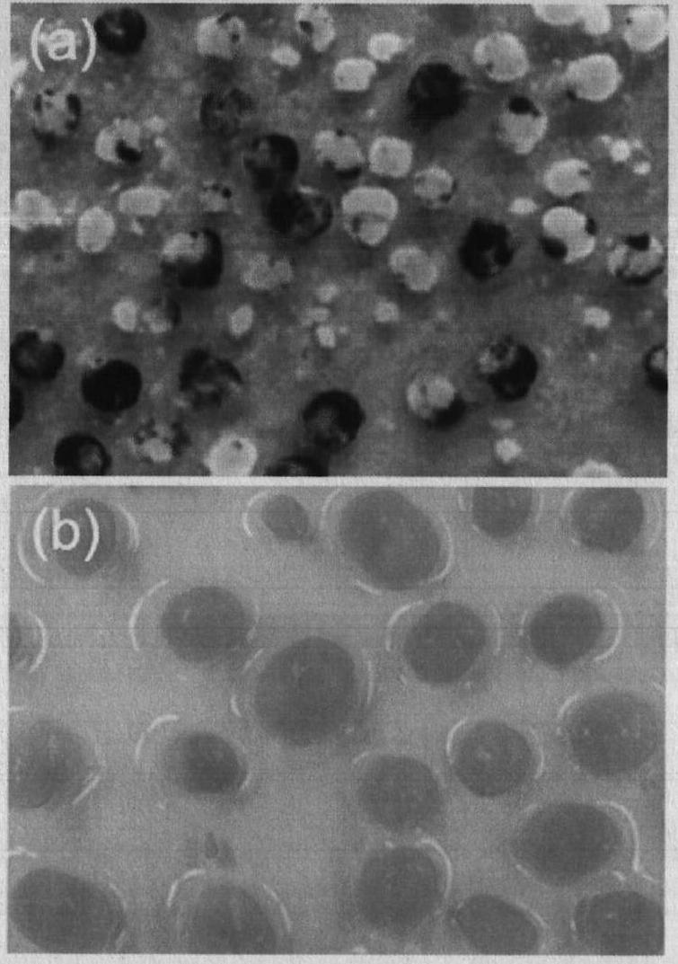 Method for remedying filamentous expanded aerobic granular sludge