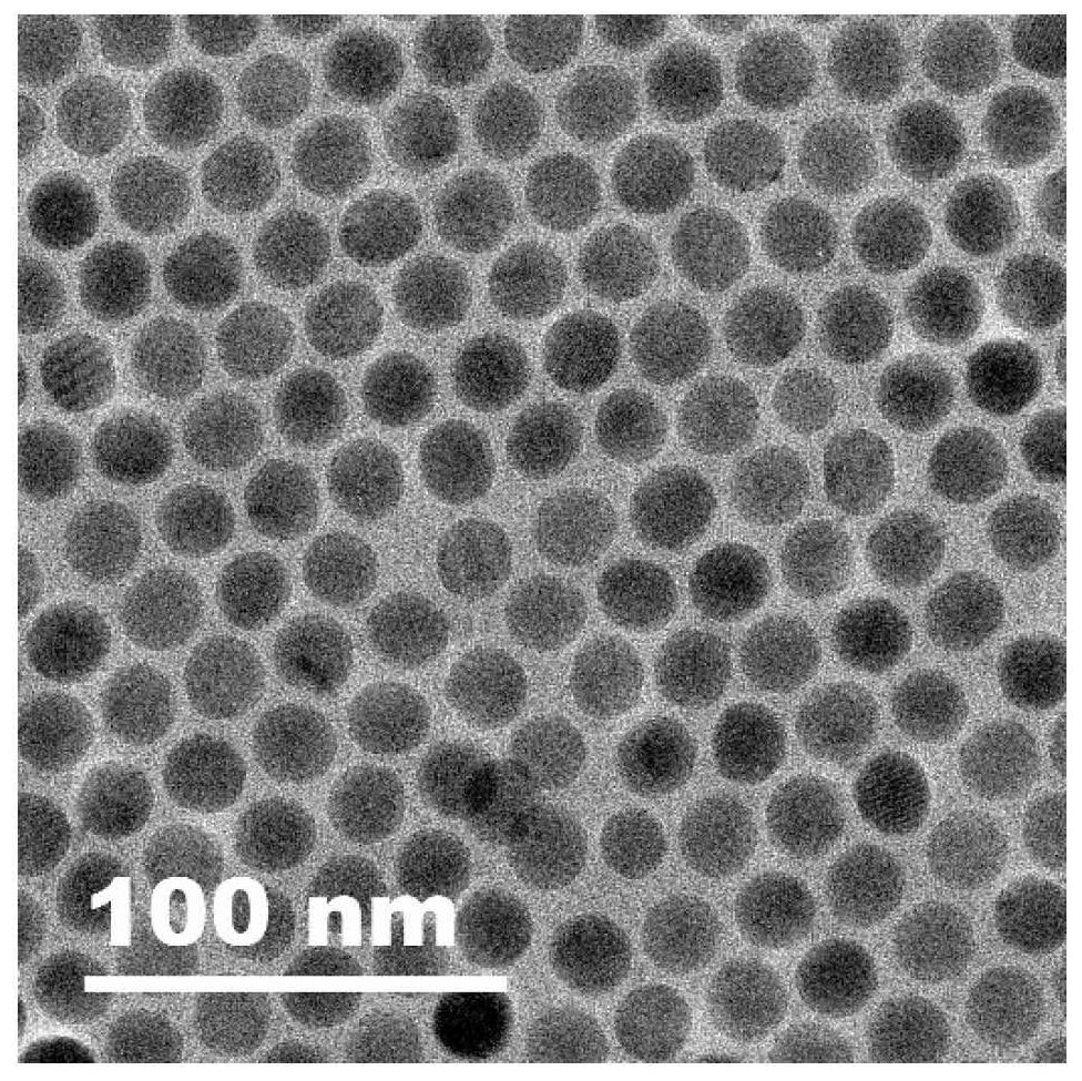 Rare earth luminescent material with enhanced visible light/NIR-II emission