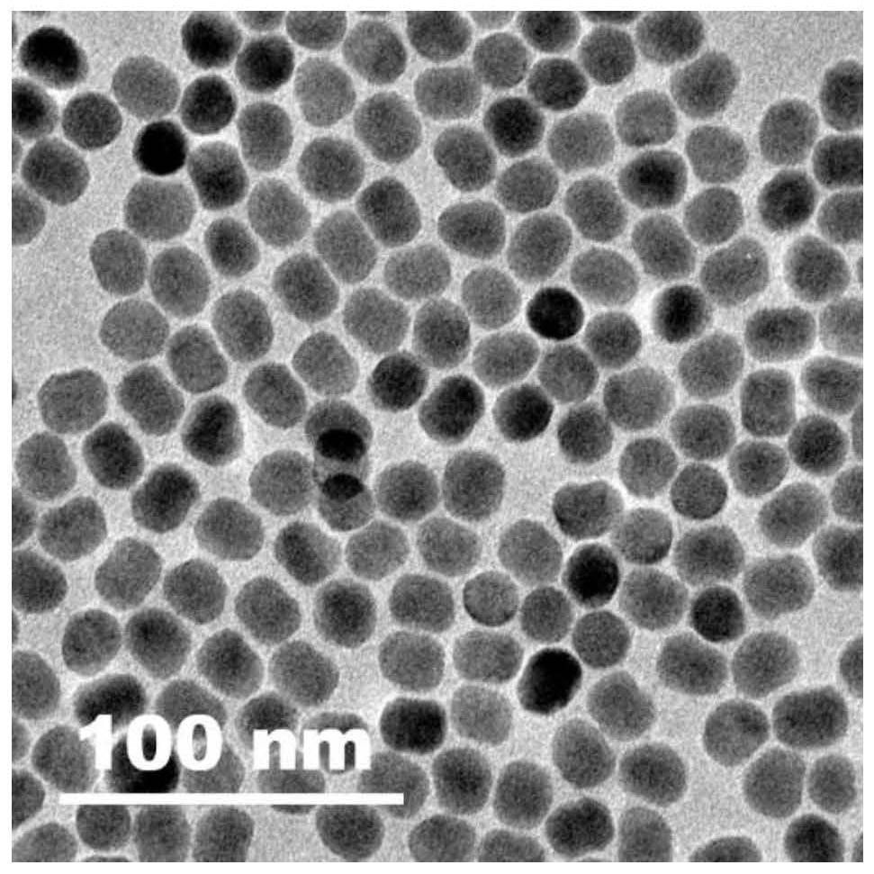 Rare earth luminescent material with enhanced visible light/NIR-II emission