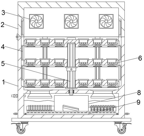 Kiwi fruit planting nursery stock cultivation system