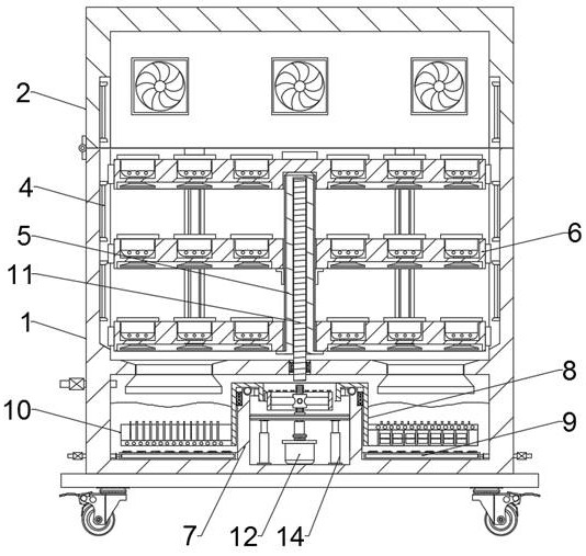 Kiwi fruit planting nursery stock cultivation system