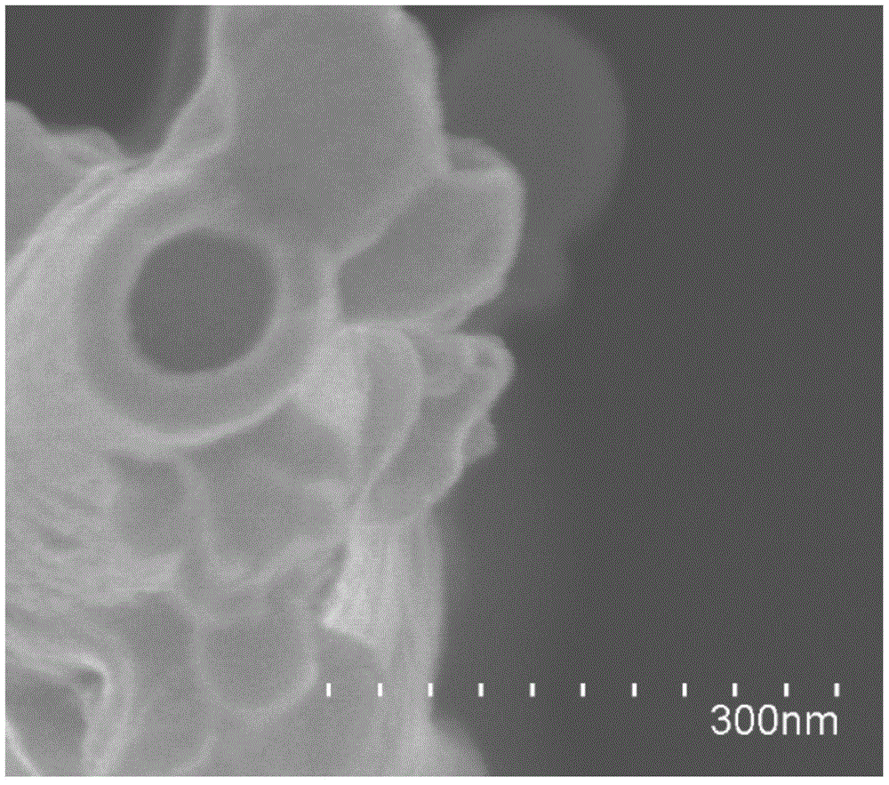 A method for preparing nanoporous structures based on nanoparticle self-assembly and its application