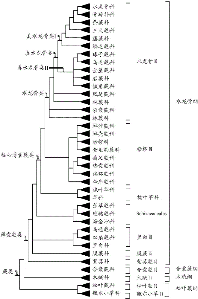 Insecticidal proteins and methods for their use