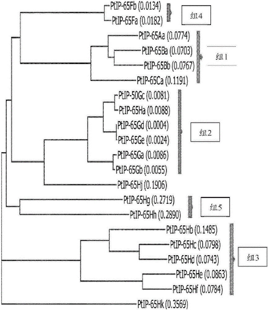 Insecticidal proteins and methods for their use