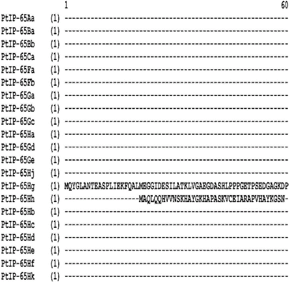 Insecticidal proteins and methods for their use