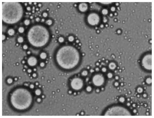 Easy-to-disperse carbon nanotube master batch as well as preparation method and application thereof