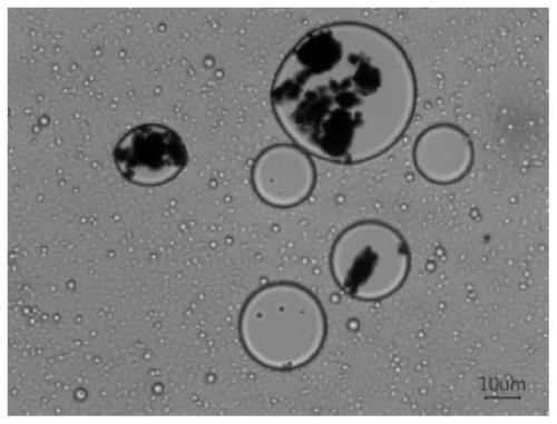 Easy-to-disperse carbon nanotube master batch as well as preparation method and application thereof