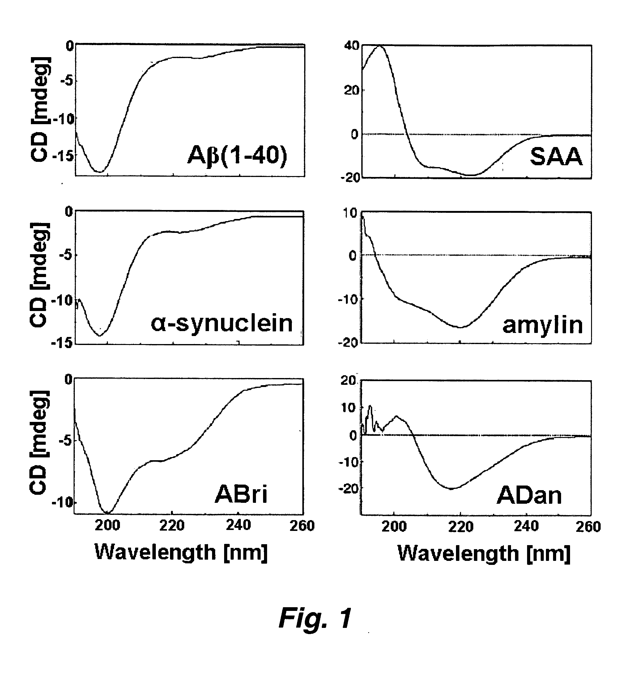 Amyloid beta protein channel structure and uses thereof in identifying potential drug molecules for neurodegenerative diseases