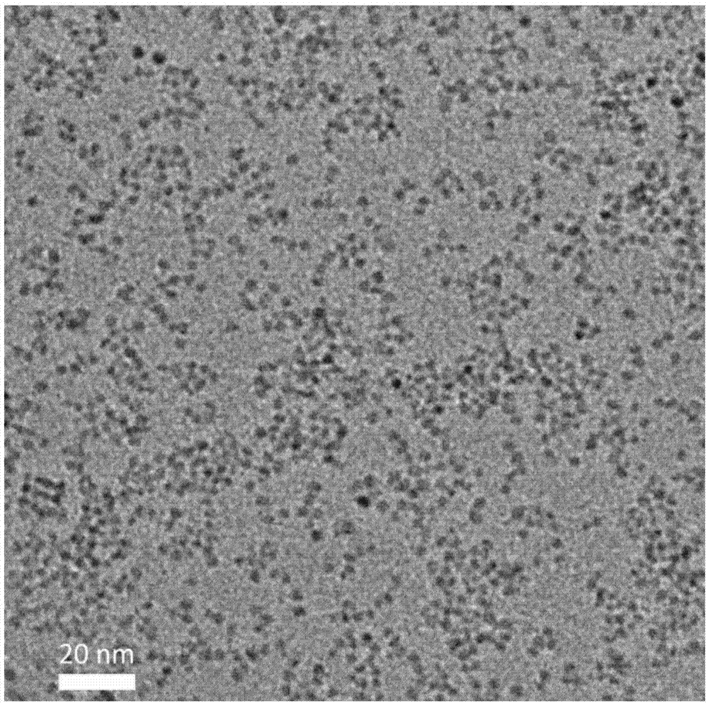 Two-dimensional material quantum sheet and preparation method thereof