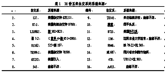 Simple screening method for salt-tolerance maize inbred lines