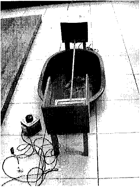 Experimental animal rat cerebellar ataxia detection model