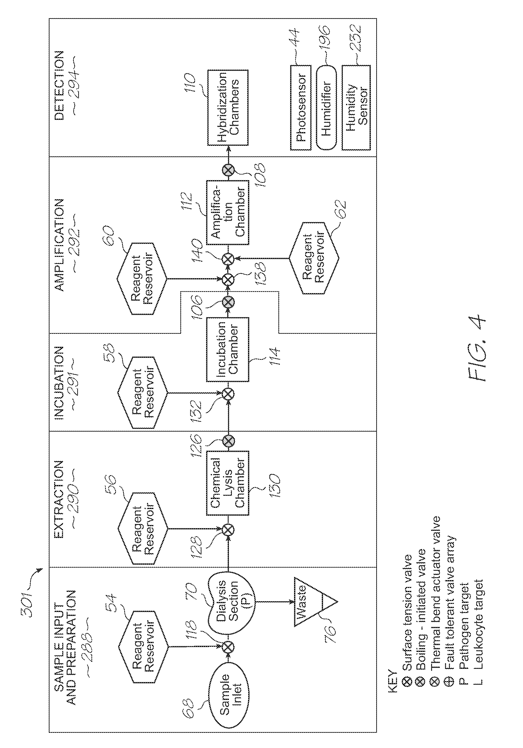 Loc device with electrochemiluminescent probes including positive and negative control probes