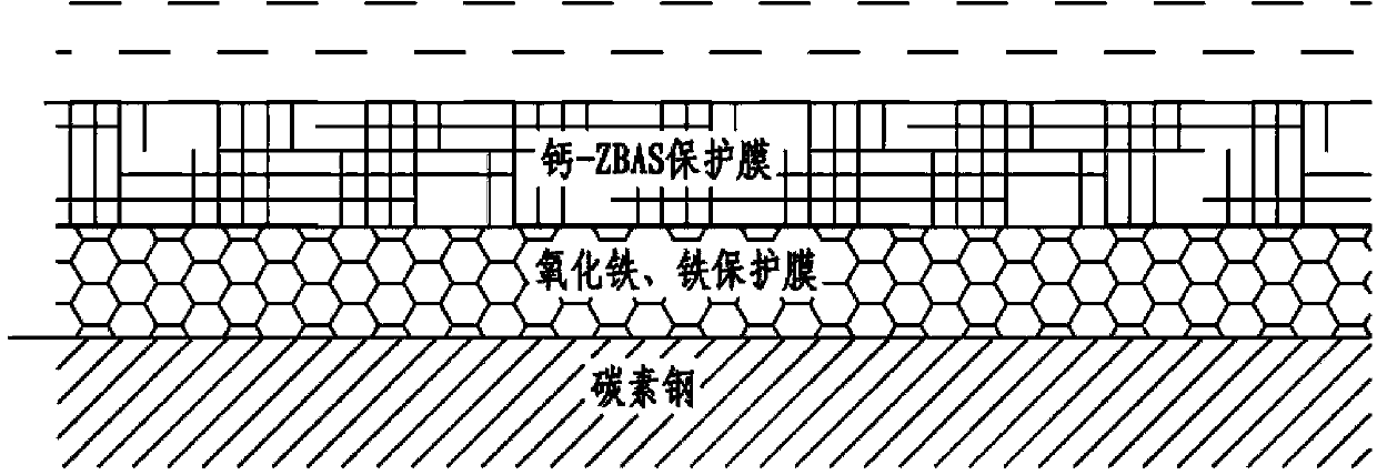 Descaling system