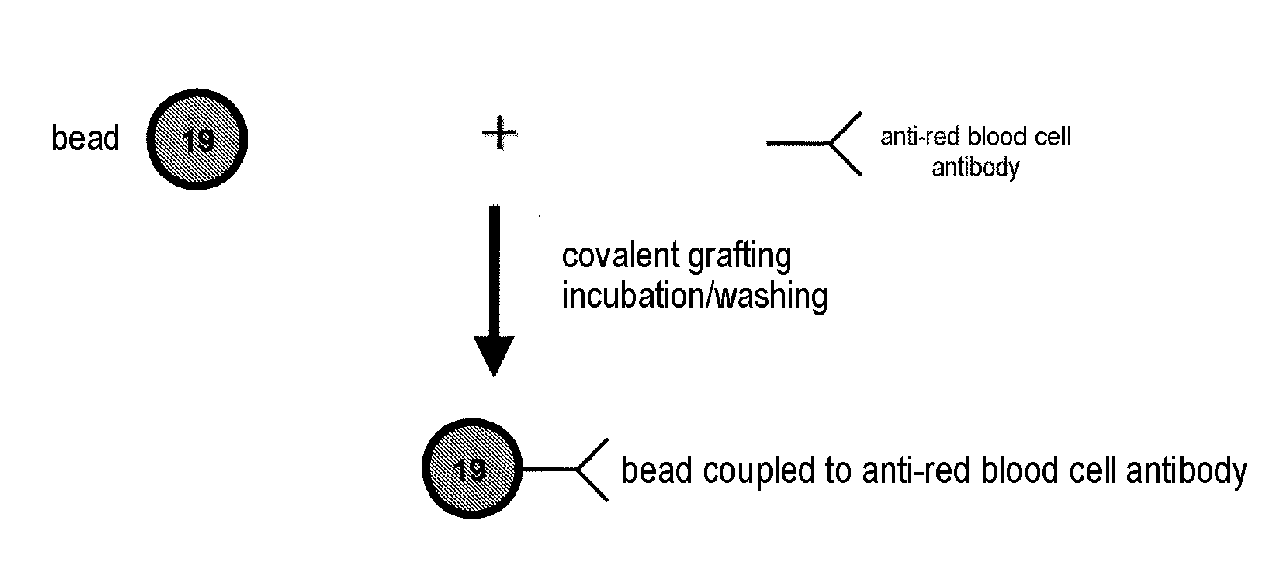 Multiple Analysis of Blood Samples