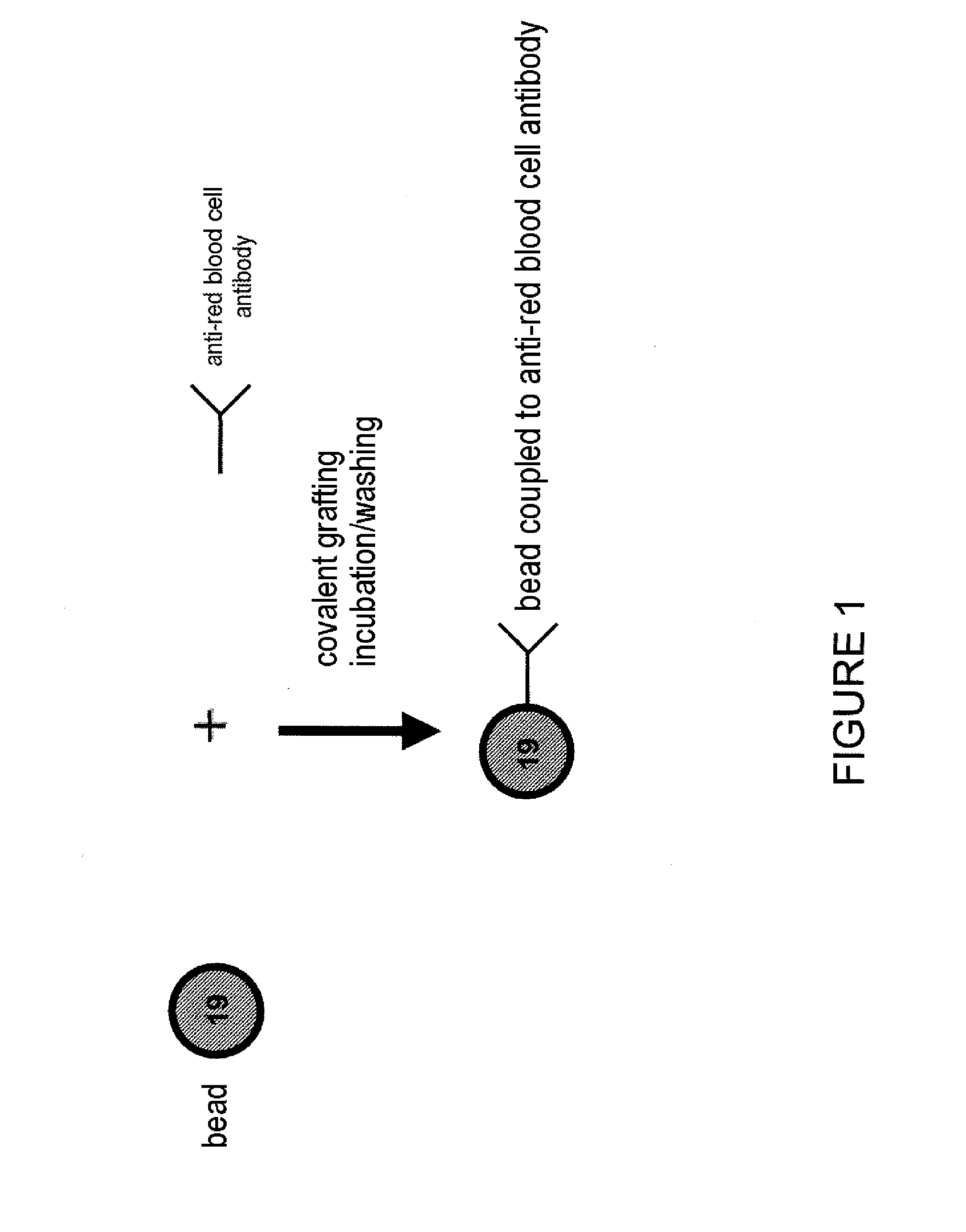 Multiple Analysis of Blood Samples