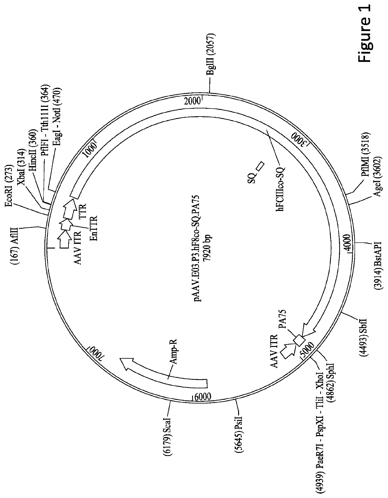 Gene therapy for treating hemophilia a