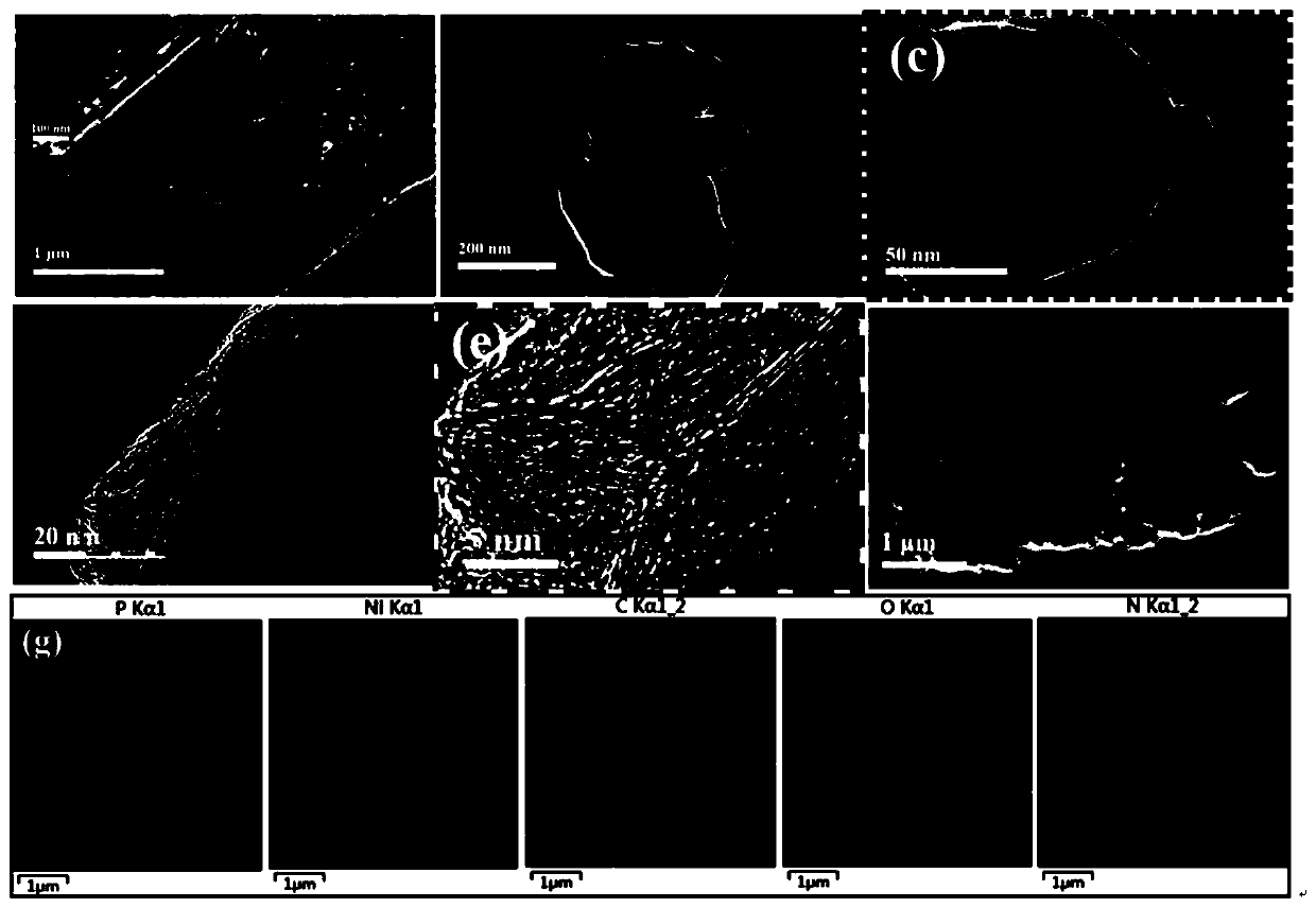 Preparation method for black phosphorus-activated graphene heterojunction loaded nickel nitride particles