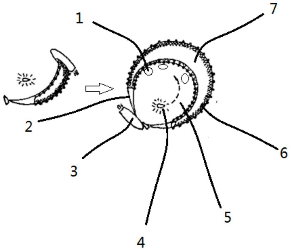 Emergency shrimp fishing purse net and use method therefor