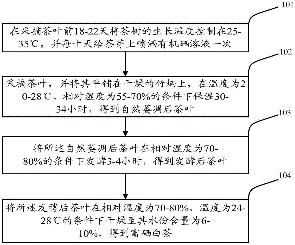 Preparation method of selenium-enriched white tea and selenium-enriched white tea prepared by the method