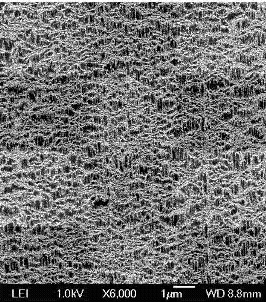 High-density polyethylene hollow fiber microporous membrane and preparation method thereof