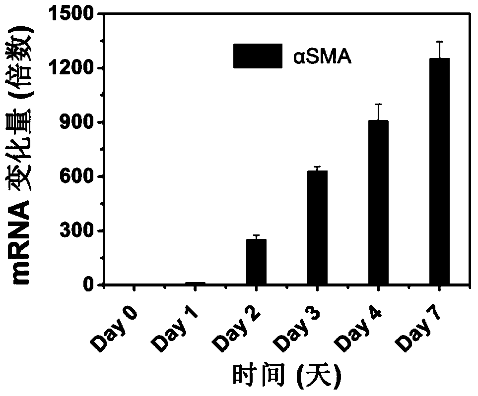 Polymer nanocarriers specifically targeting activated hepatic stellate cells with folic acid and their medicinal uses