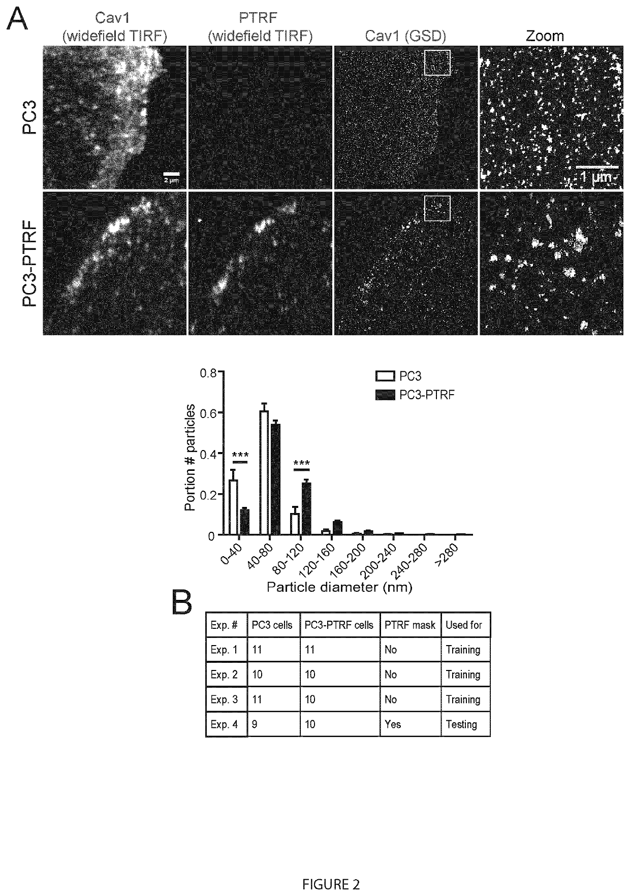 Methods for analysis of single molecule localization microscopy to define molecular architecture