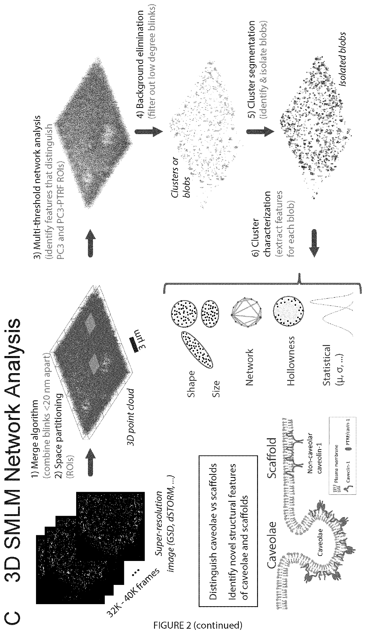 Methods for analysis of single molecule localization microscopy to define molecular architecture