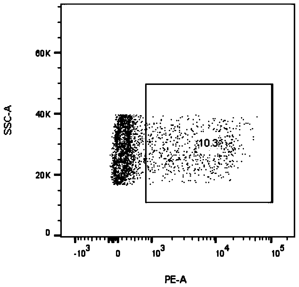 A specific T cell receptor for egfr L858R gene mutation and its application