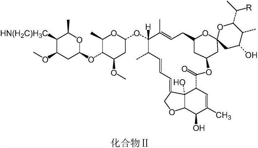 Macrolide benzoate compound, intermediate compound thereof, preparation method of the intermediate compound, and application of the macrolide benzoate compound