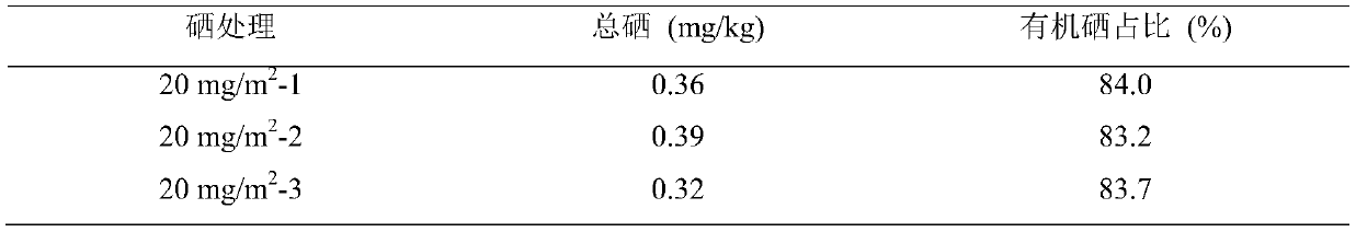 Cultivation method of selenium-enriched codonopsis tangshen Oliv.