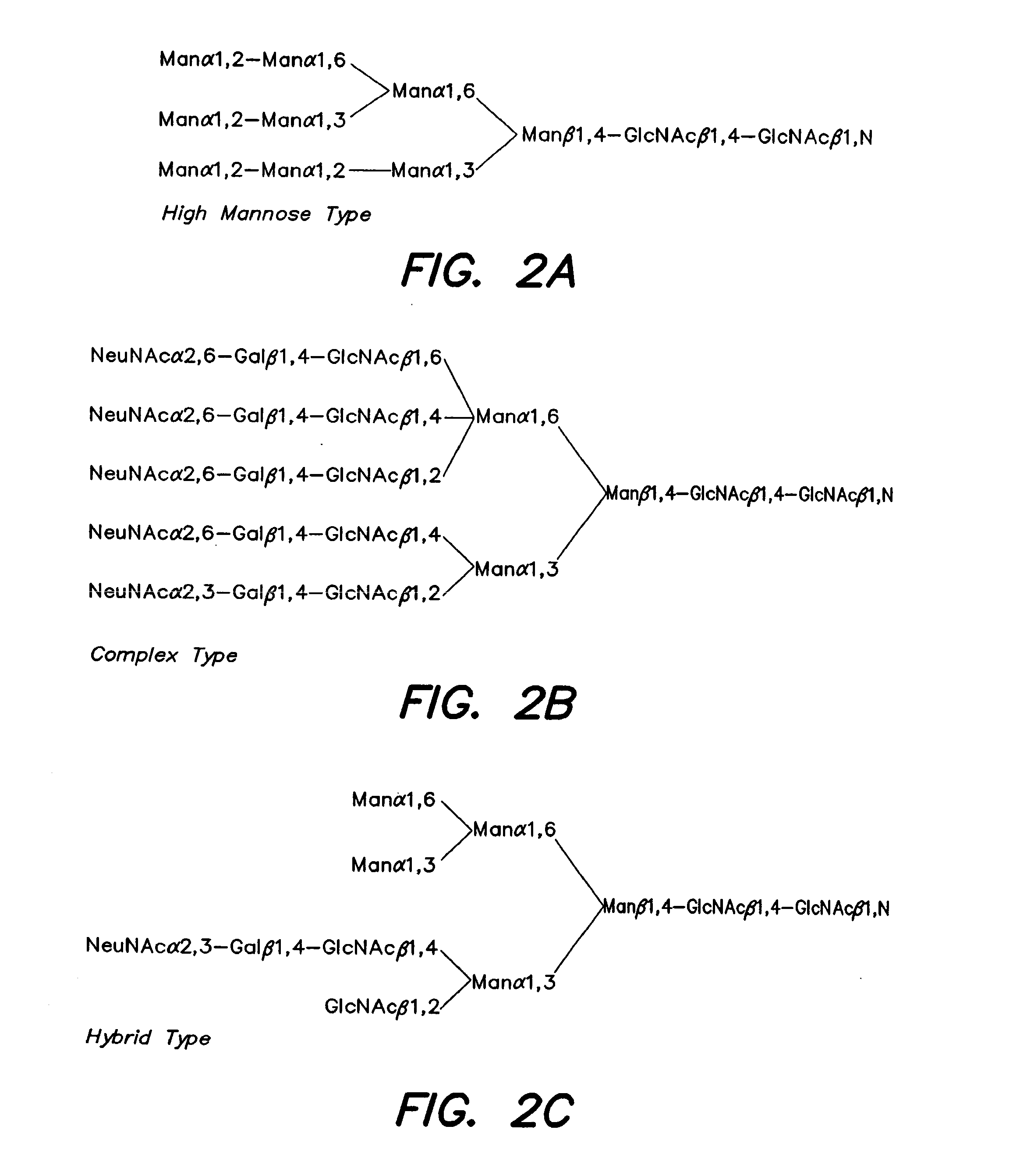 Methods and products related to the improved analysis of carbohydrates