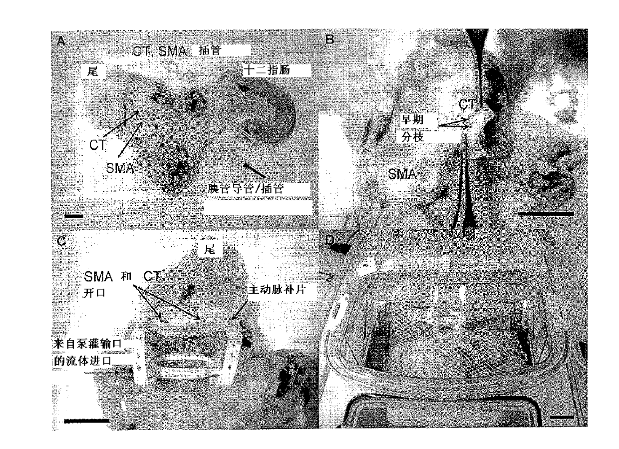 Methods for increasing isolation yields of cellular products