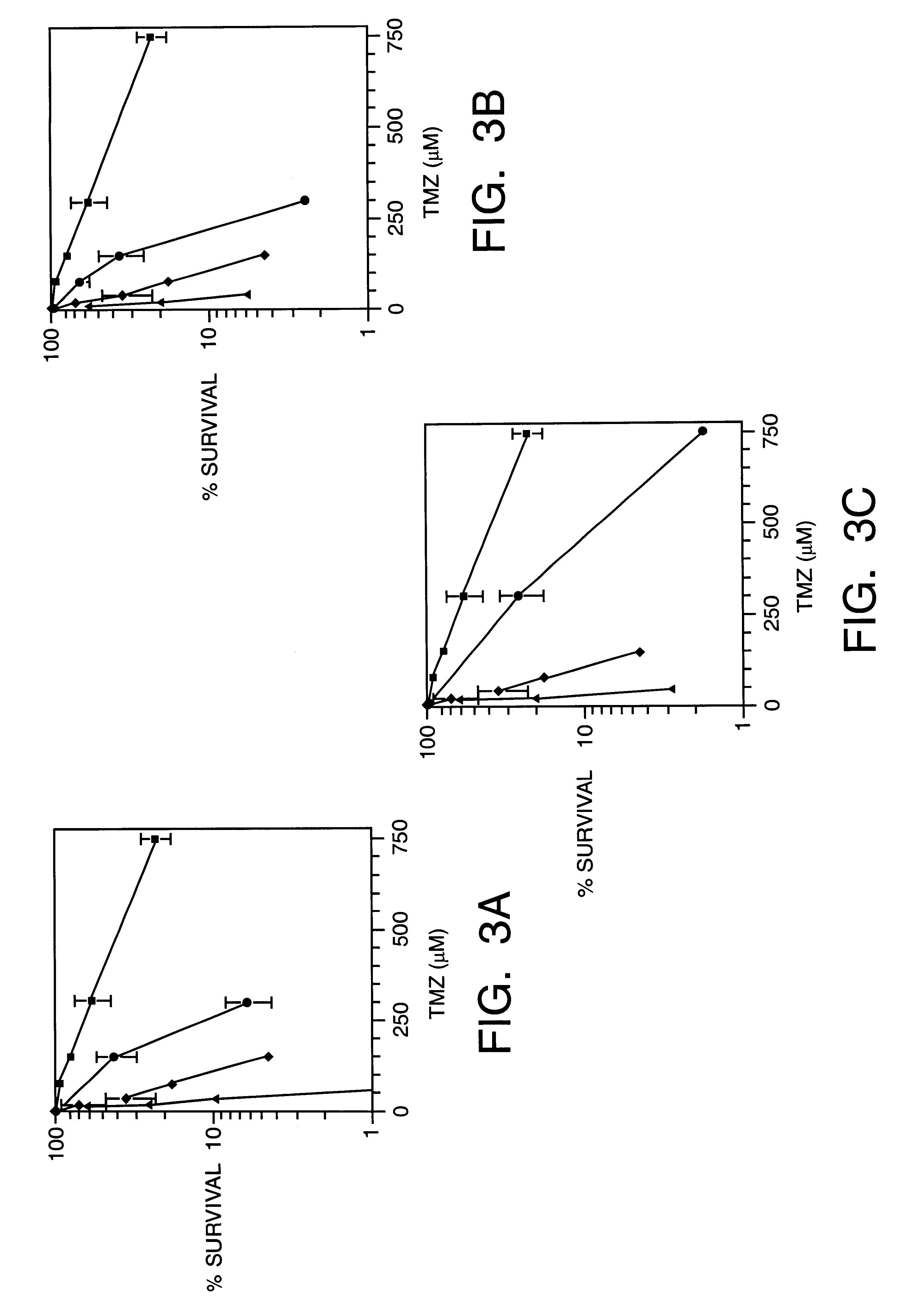 Methoxyamine potentiation of temozolomide anti-cancer activity