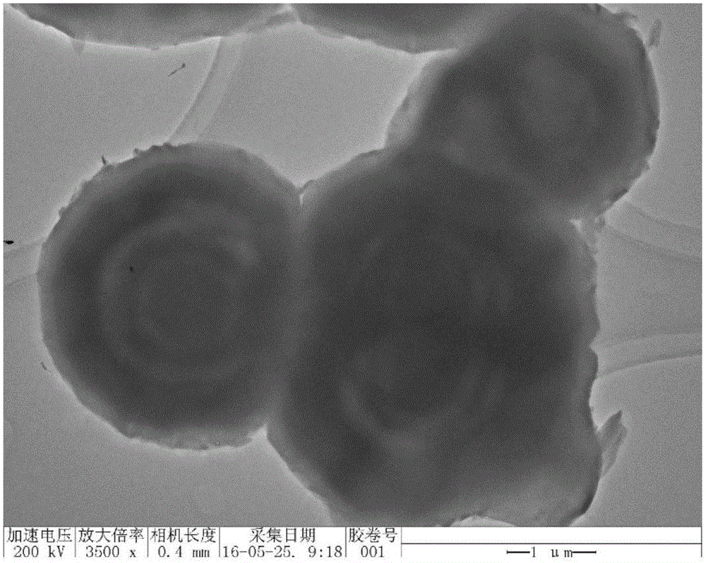 Carbon negative electrode material of lithium-ion battery with long cycle life and preparation method of carbon negative electrode material