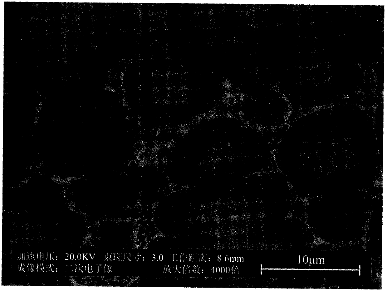 Magnetic memory alloy with long function life and preparation method thereof