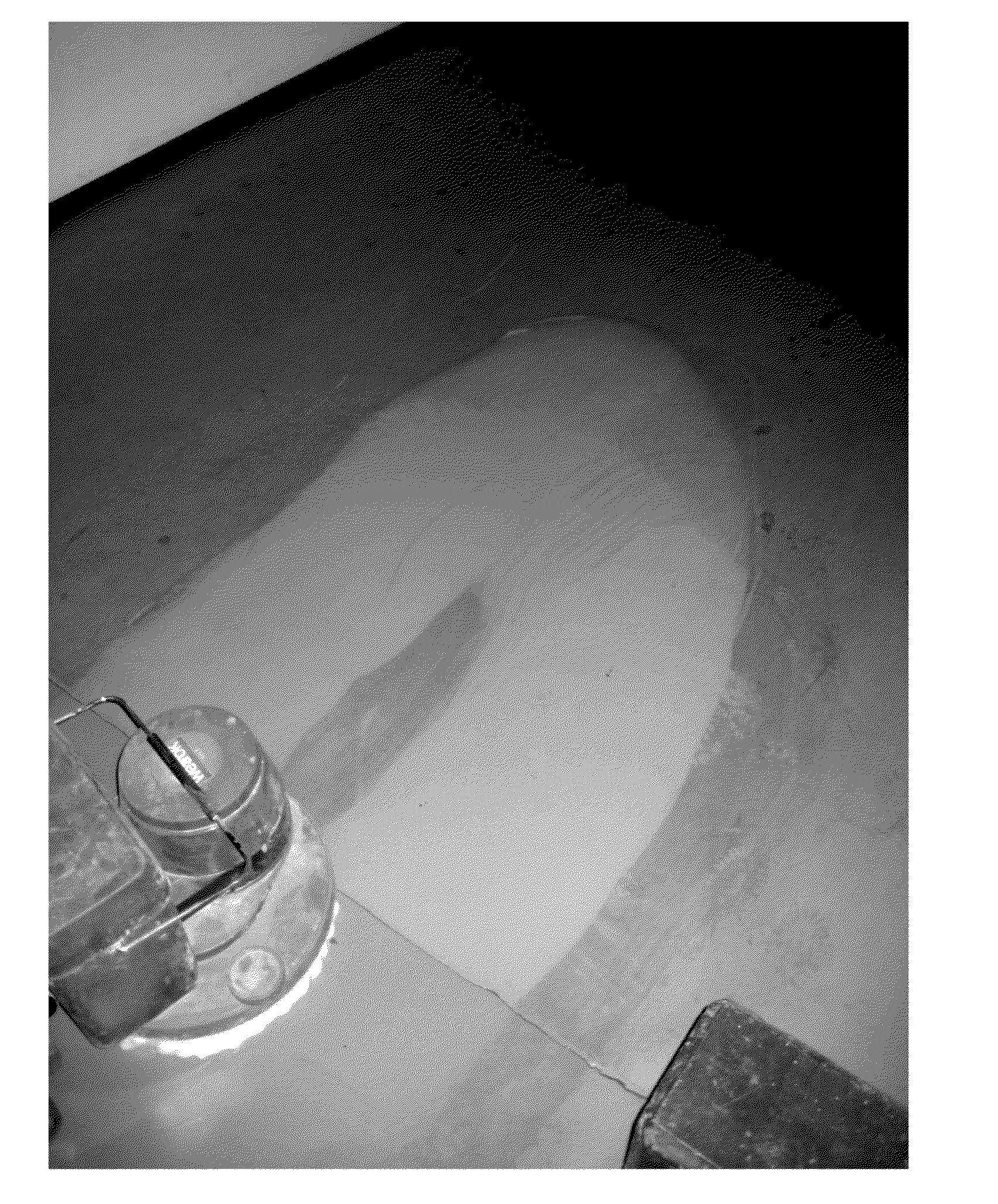 Composite material, manufacturing process therefor and uses thereof