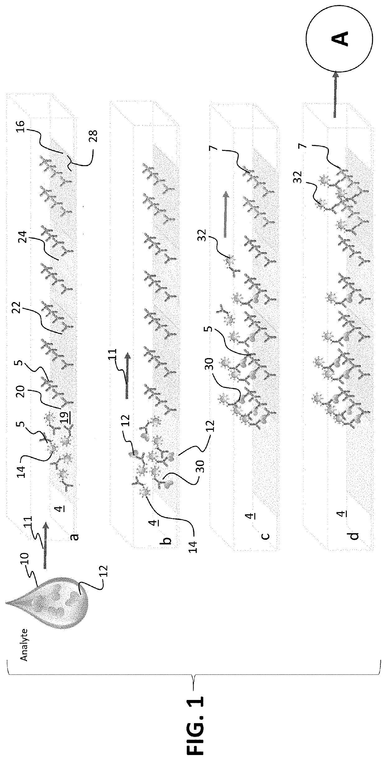 System and method for precision detection of biomarkers