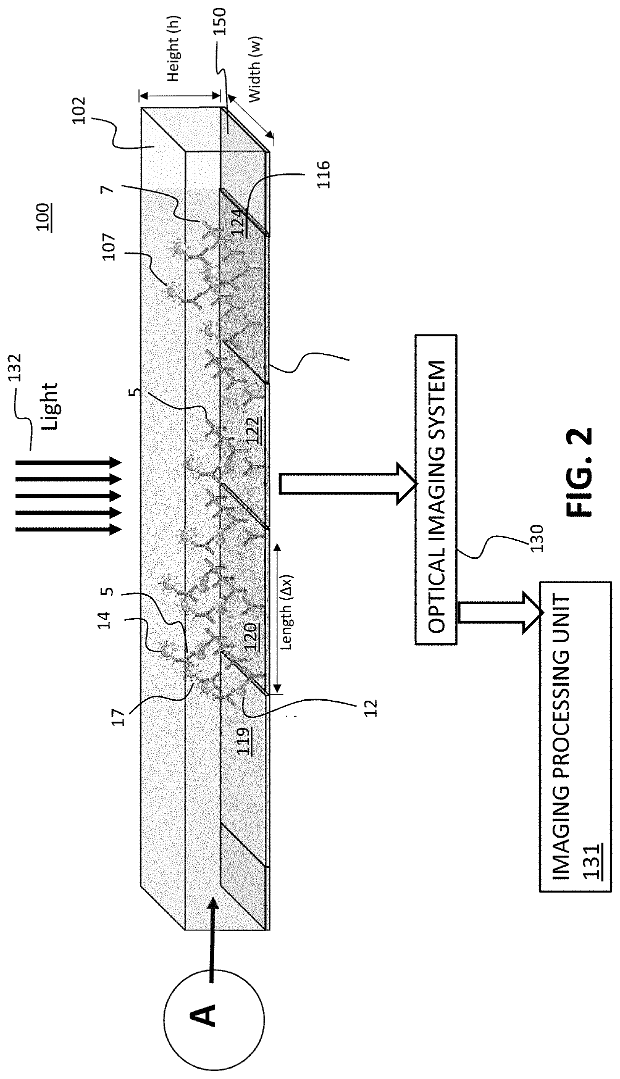 System and method for precision detection of biomarkers