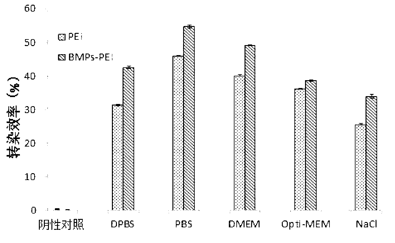 Method for transfecting cells by utilizing bacterial magnetic particles-polyethyleneimine/deoxyribonucleic acid (BMPs-PEI/DNA)transfer complex