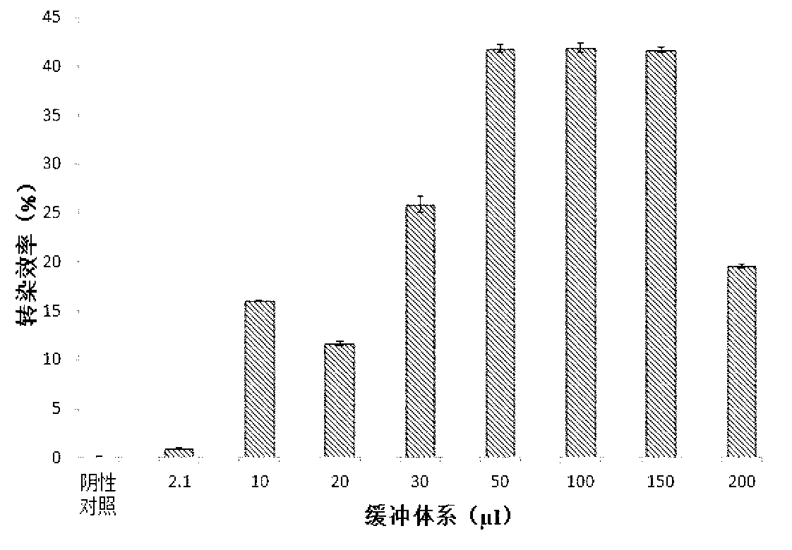 Method for transfecting cells by utilizing bacterial magnetic particles-polyethyleneimine/deoxyribonucleic acid (BMPs-PEI/DNA)transfer complex