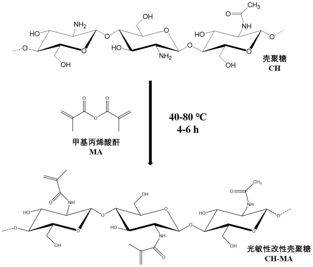 Photosensitive modified chitosan, preparation method and application thereof