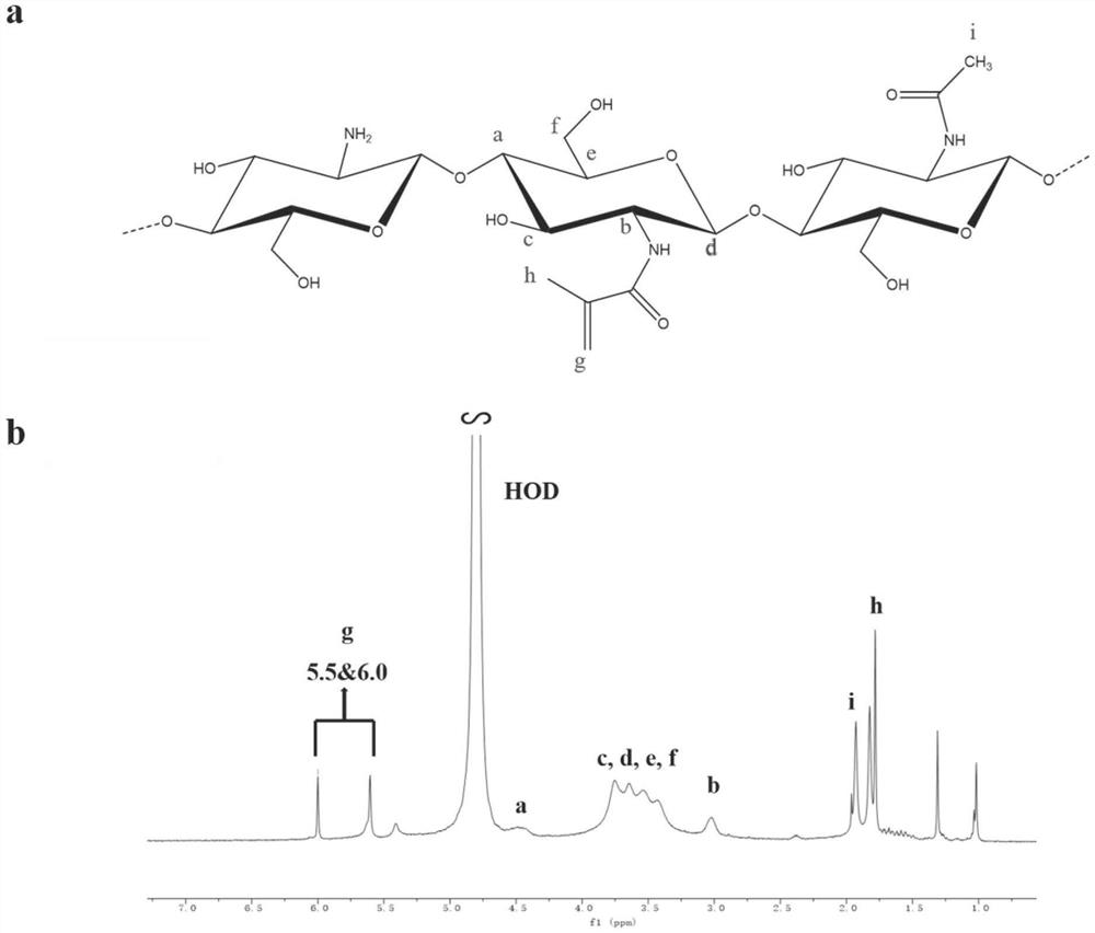 Photosensitive modified chitosan, preparation method and application thereof