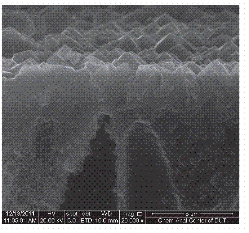 Method for preparing metal organic framework film